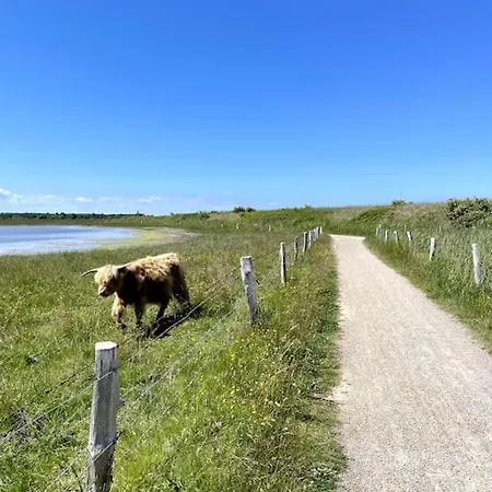 Dom wakacyjny Ankerplatz Behrensdorf